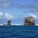 Darwin Island 13.JPG
